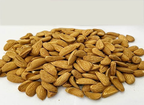 فروش بادام مامایی شور + قیمت خرید به صرفه